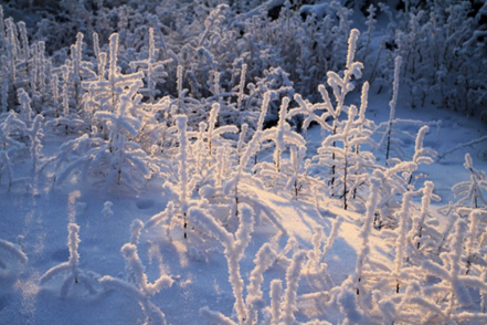 诺如病毒高发警告！宝宝腹泻不容小觑，爸妈要小心辨别