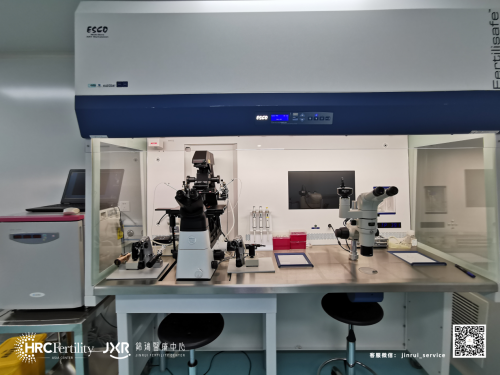 影响试管婴儿成功率的因素都有哪些? 影响试管婴儿成功率的因素都有哪些?