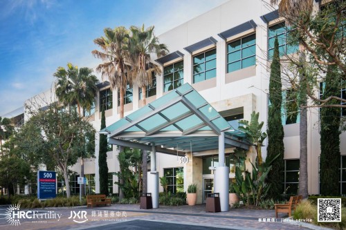 ivf促排方案该如何选择?