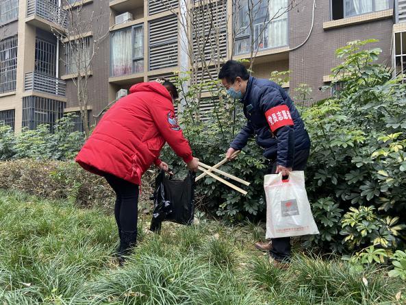 居民主动参与和党员志愿者清理绿化从里面的垃圾