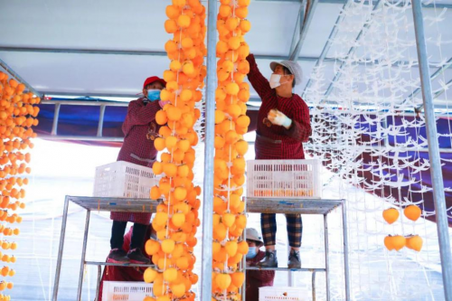 像做教育一样做扶贫 中国三星激活贫困村内在发展力