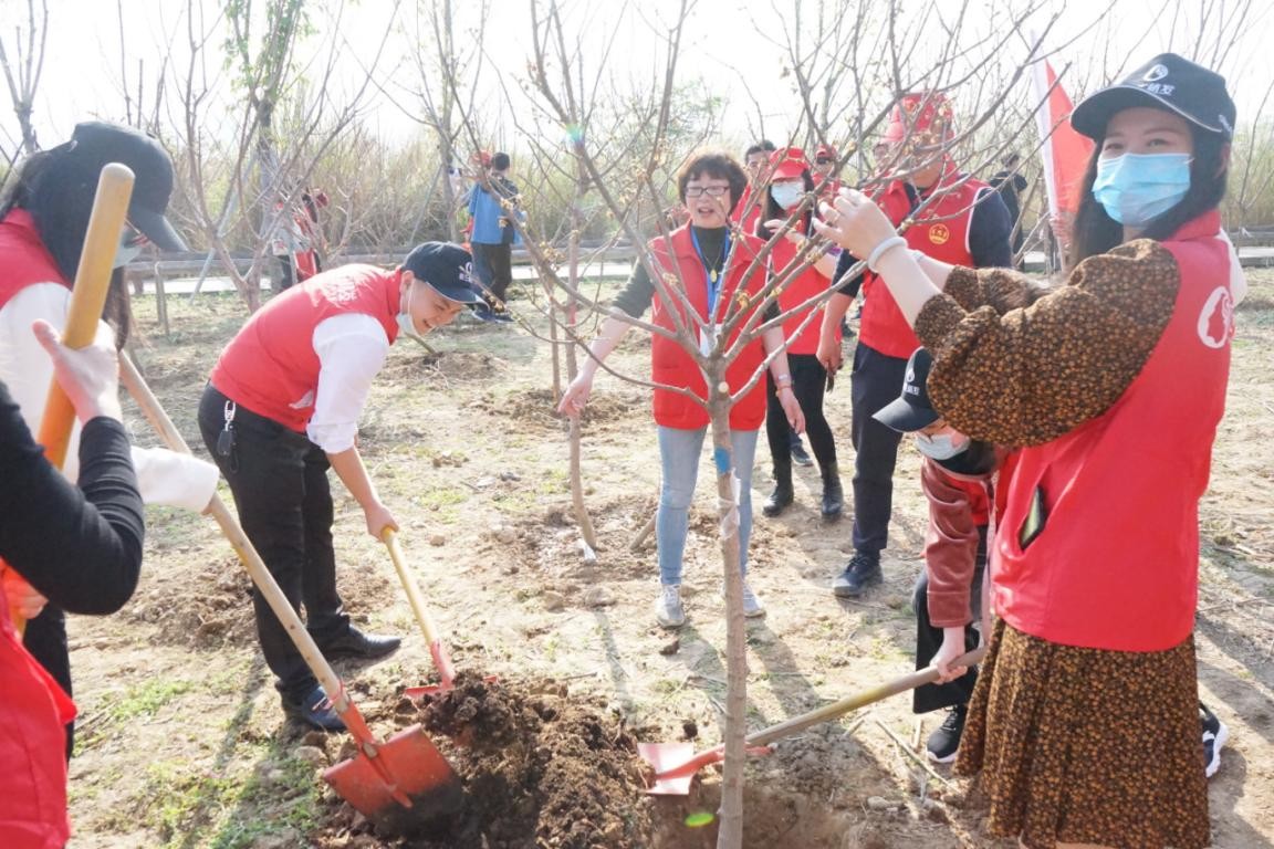 “植”树造林，新生植发一直在行动