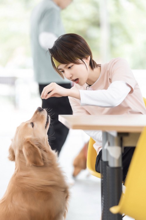 《百分之二的爱2》持续升温,爱心让生命不再流浪! 《百分之二的爱2》持续升温,爱心让生命不再流浪!