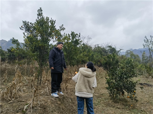 为丘陵山区乡村振兴贡献“期货智慧” ——财达期货走进贵州山区开展帮扶行动 为丘陵山区乡村振兴贡献“期货智慧” ——财达期货走进贵州山区开展帮扶行动