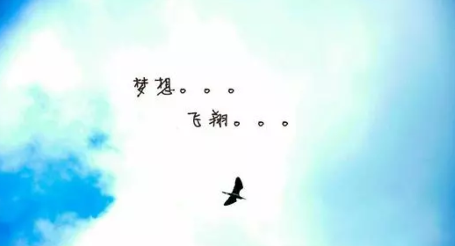 金牛投教基金树立伟大愿景为社会创造价值