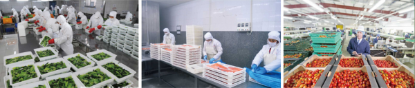 餐饮市场日渐火爆,好伦哥为何受到广大投资者追捧? 餐饮市场日渐火爆,好伦哥为何受到广大投资者追捧?