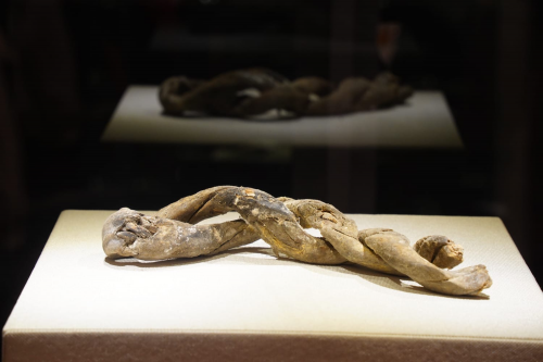 土耳其亞拉臘山雪嶺驚現中國榫卯結構 挪亞方舟國際科研考察及文物保育基金會展開科研考古探索人類起源