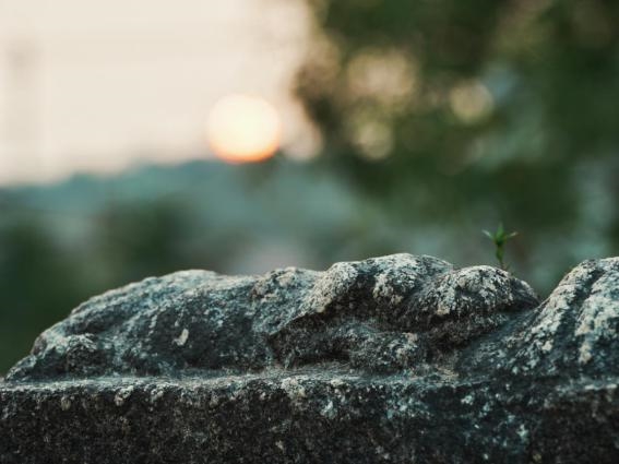 国宝锦屏古桥——穿越五百年的守望和守护 国宝锦屏古桥——穿越五百年的守望和守护