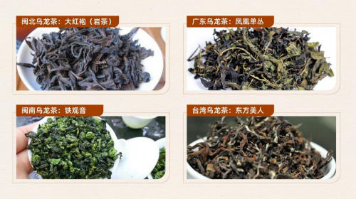 长安雅集|茶之无界 来自原产地的中国口感追随