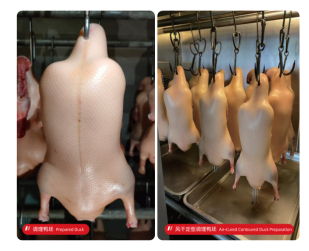 华鸭获市场权威认可 华鸭获市场权威认可