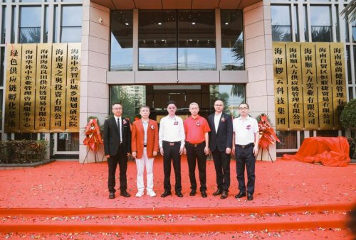 开始腾飞的海南 链动蓝海启新程 筑梦良田谱华章