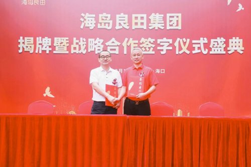 开始腾飞的海南 链动蓝海启新程 筑梦良田谱华章