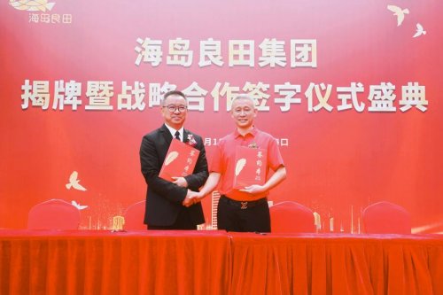 开始腾飞的海南 链动蓝海启新程 筑梦良田谱华章