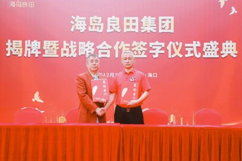 开始腾飞的海南 链动蓝海启新程 筑梦良田谱华章