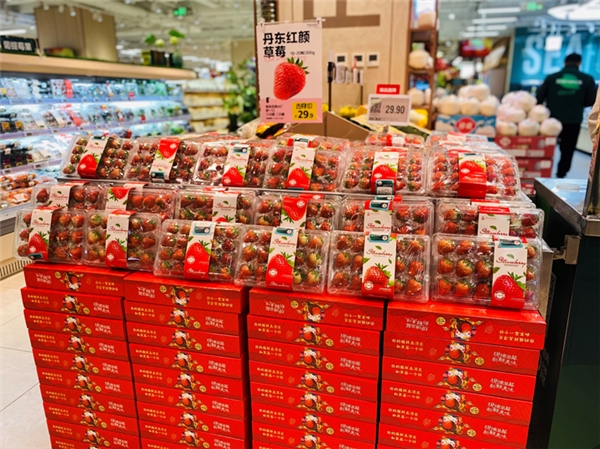 冬天的第一口草莓，七鲜丹东红颜草莓“无损”鲜甜，击穿你的味蕾