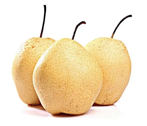 大雪节气吃肉喝汤正当时 华冠超市花式滋补食谱让你安稳过冬