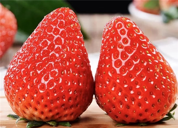 初雪到 该围炉烤火啦 京东七鲜超市周二超省日新鲜食材击穿价来袭