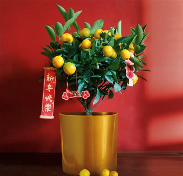 除夕共团圆 来京东买菜采购年夜饭可口食材 把爱带回家 除夕共团圆 来京东买菜采购年夜饭可口食材 把爱带回家