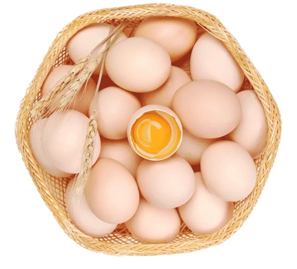 开学季生活饮食要点提示 京东七鲜超市品质好物呵护孩子营养健康 开学季生活饮食要点提示 京东七鲜超市品质好物呵护孩子营养健康