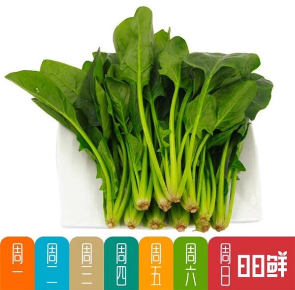 告别“节后综合症”,京东买菜健康食材助你“元气满满” 告别“节后综合症”,京东买菜健康食材助你“元气满满”