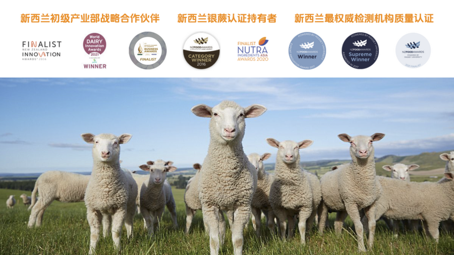 新西兰国宝级羊奶:禧兰羊珍稀绵羊奶 新西兰国宝级羊奶:禧兰羊珍稀绵羊奶