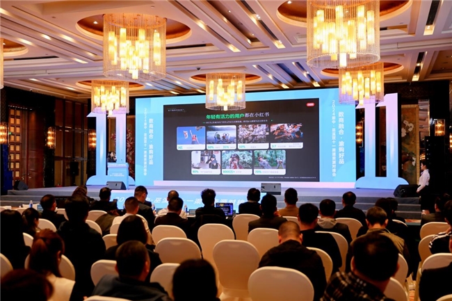 数商融合·渝购好品|2024渝中-巫溪双十一渠道资源对接大会圆满举办