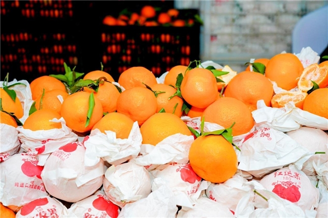 人气如潮!2025秀山县农特产品消费帮扶暨新春年货展销活动,奏响乡村振兴新春序曲! 人气如潮!2025秀山县农特产品消费帮扶暨新春年货展销活动,奏响乡村振兴新春序曲!