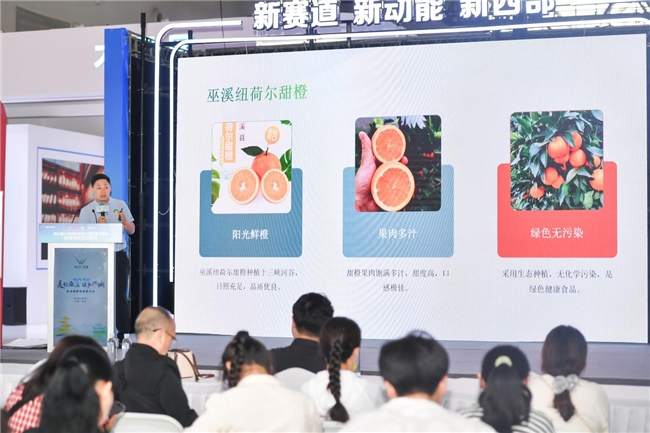 灵韵巫溪 绿产兴城 巫溪商贸专场推介会亮相西洽会