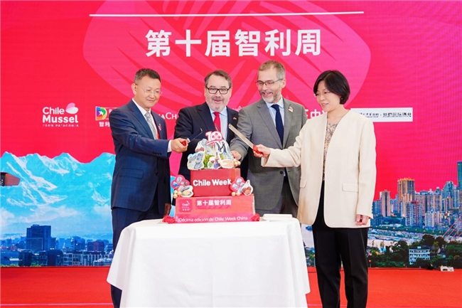 2025智利周重庆站活动加强智中经贸联系 2025智利周重庆站活动加强智中经贸联系