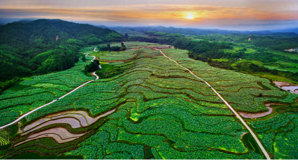福建首款A2巴氏鲜牛奶上市