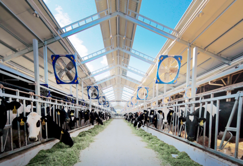 福建首款A2巴氏鲜牛奶上市