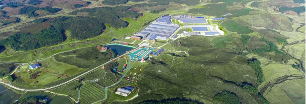 福建首款A2巴氏鲜牛奶上市