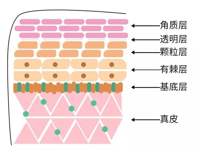 水潆充沛,植美馥予舒润冰肌水光保湿面膜乍现光弹嘭润 水潆充沛,植美馥予舒润冰肌水光保湿面膜乍现光弹嘭润