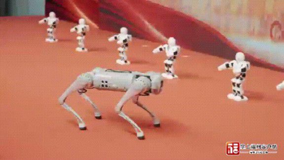 超燃!福州市“全国科普日”现场沸腾了! 超燃!福州市“全国科普日”现场沸腾了!