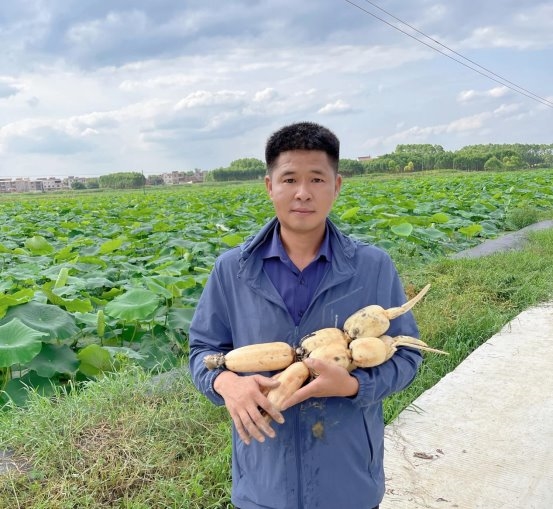 “源艺农业”夏良荣:匠心耕耘,莲藕产业的全链领航者 “源艺农业”夏良荣:匠心耕耘,莲藕产业的全链领航者