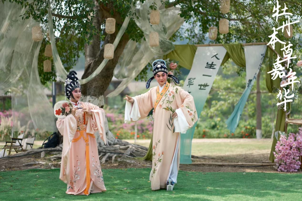 五一假期牡丹本草嘉年华让广西药用植物园迎来客流高峰 五一假期牡丹本草嘉年华让广西药用植物园迎来客流高峰