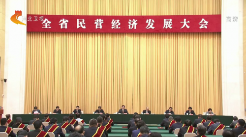 省民营经济发展大会召开 魏立华董事长获优秀民营企业家殊荣