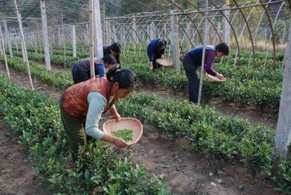 “热心”媒体人张丽萍