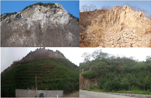 植树节让生态文明理念深入人心—青岛地质院助力“绿色青岛”建设 植树节让生态文明理念深入人心—青岛地质院助力“绿色青岛”建设