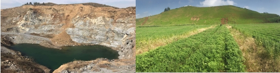 植树节让生态文明理念深入人心—青岛地质院助力“绿色青岛”建设 植树节让生态文明理念深入人心—青岛地质院助力“绿色青岛”建设