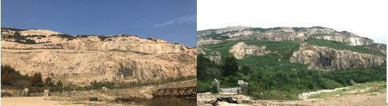 植树节让生态文明理念深入人心—青岛地质院助力“绿色青岛”建设 植树节让生态文明理念深入人心—青岛地质院助力“绿色青岛”建设