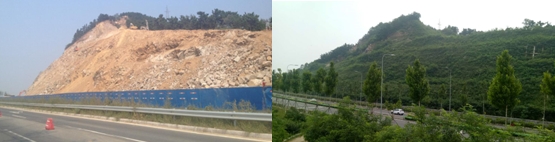 植树节让生态文明理念深入人心—青岛地质院助力“绿色青岛”建设 植树节让生态文明理念深入人心—青岛地质院助力“绿色青岛”建设