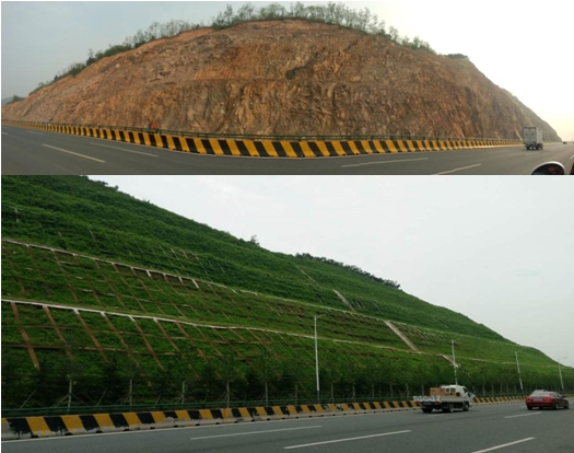 植树节让生态文明理念深入人心—青岛地质院助力“绿色青岛”建设 植树节让生态文明理念深入人心—青岛地质院助力“绿色青岛”建设