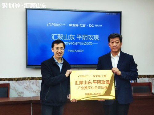 可以吃的中国传统玫瑰来了，聚划算·汇聚孵化平阴玫瑰地域品牌