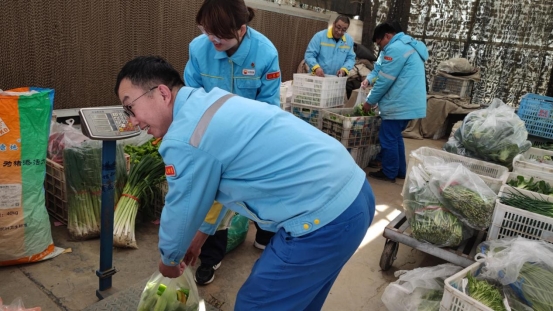 中国石油山东销售潍坊分公司：青辣椒熟了 宝石花助力乡村振兴