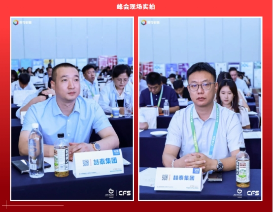 荣耀时刻|喆泰集团亮相第十五届财经峰会,一举斩获三项大奖