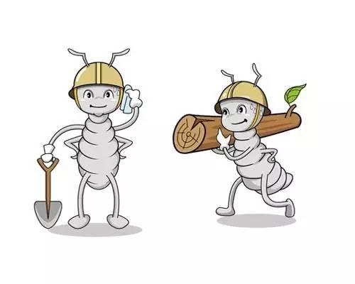 灭白蚁千万别这么做！否则.... 