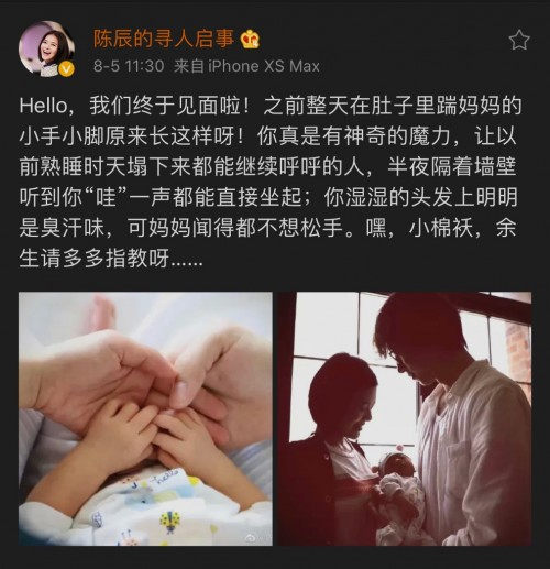 东方卫视当家花旦官宣得女！产前仍在为工作“乘风破浪”