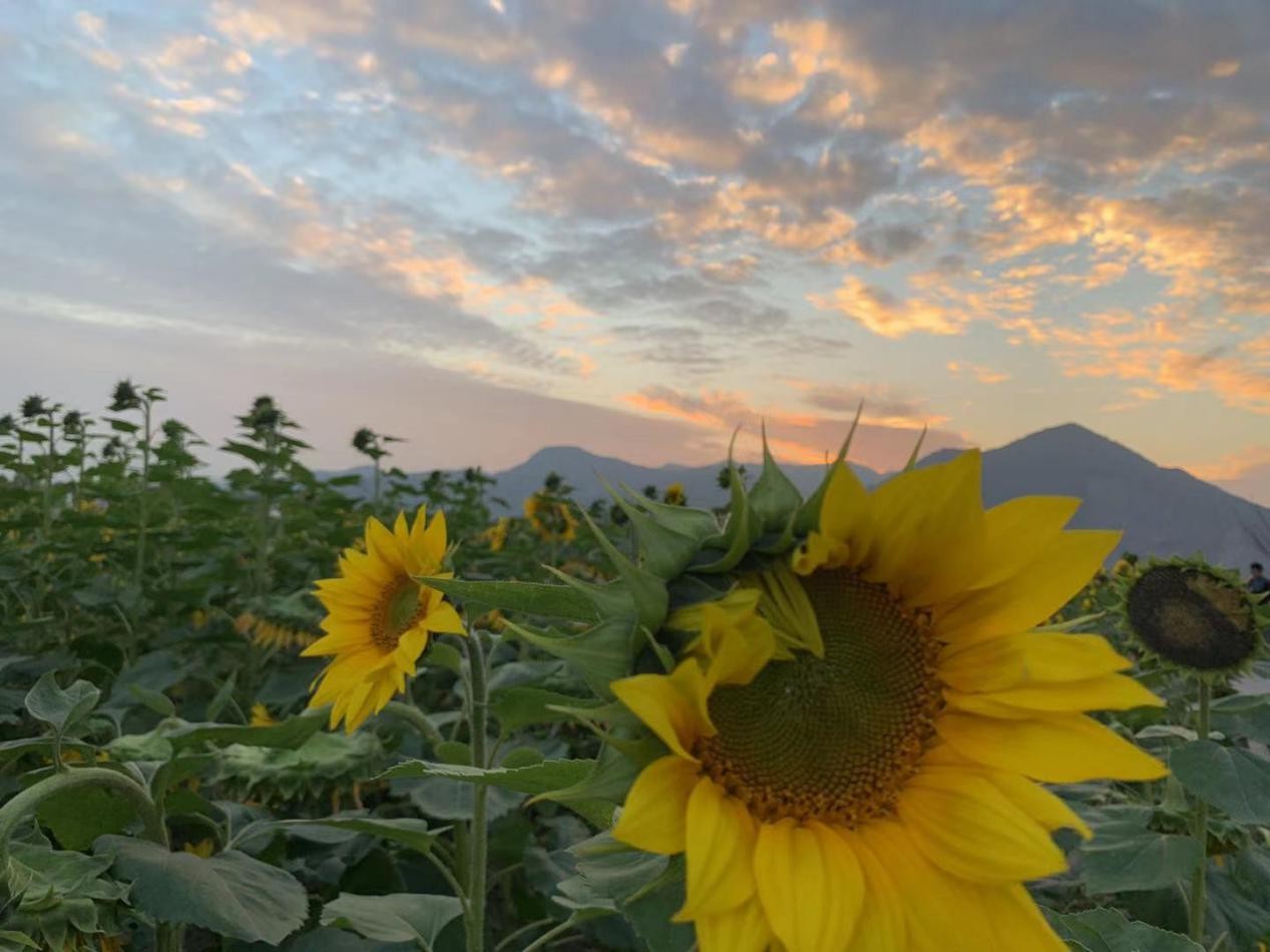 心血管堵塞能治好吗?我告诉你:能! 心血管堵塞能治好吗?我告诉你:能!