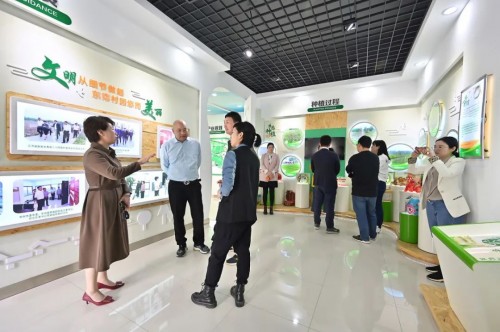 隐居乡里稻田理想民宿开业仪式暨“呆村里”计划发布会圆满举办 隐居乡里稻田理想民宿开业仪式暨“呆村里”计划发布会圆满举办